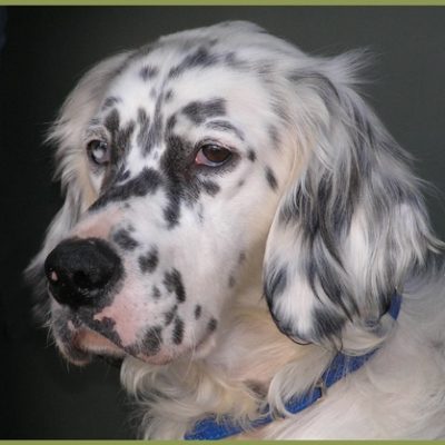 Rüdi