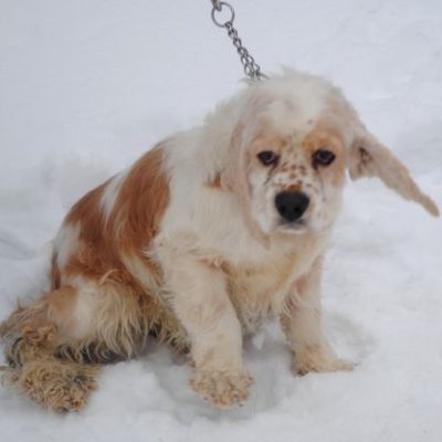 Sammy
