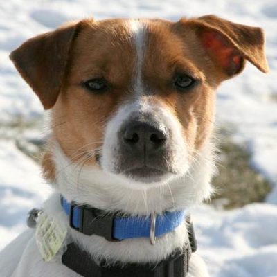 Nemo