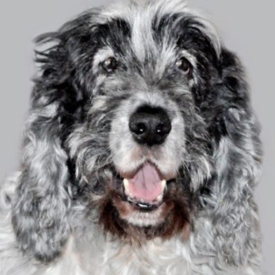 Bastino