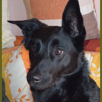 Sixx