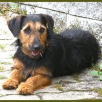Lilu