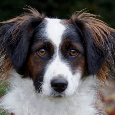 Samu