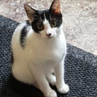 Emmi