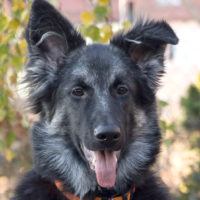 Miss Luna