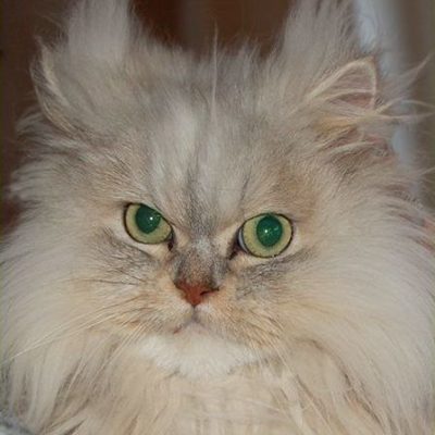 Tilly
