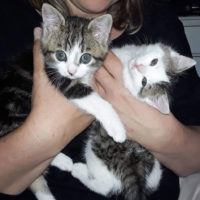 Frieda und Freddie