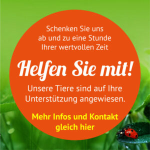 Ehrenamtliche Helfer