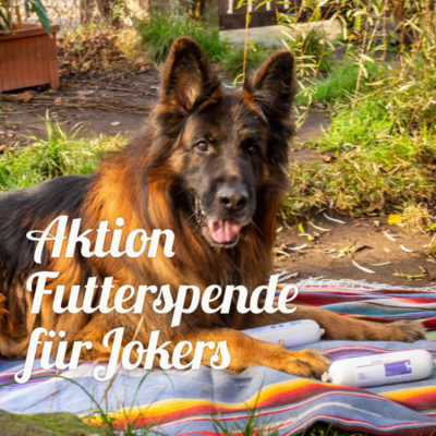 Yoker Ritzenberger Mit Aktion