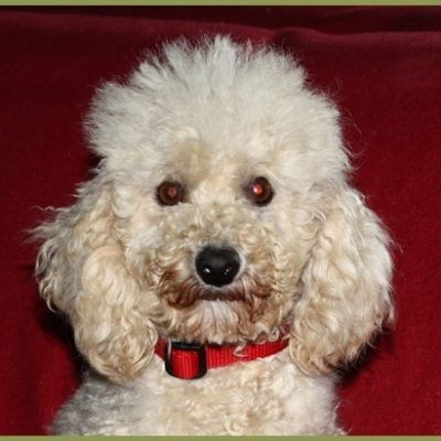 Coco