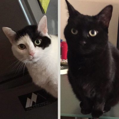 Nelly & Milly