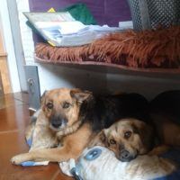 Juliet & Romano
