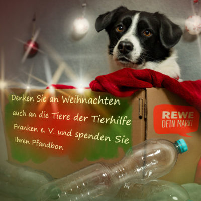 Stopfer REWE Weihnachten