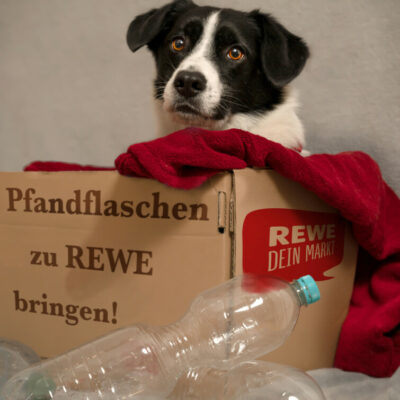 Mali Pfandkarton Für Einspalter Verkl