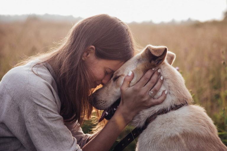 6 Tipps, mit denen Sie die Bindung zu Ihrem Hund stärken Tierhilfe
