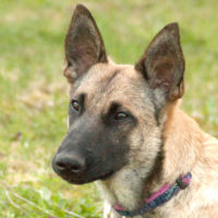 Ella