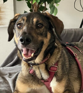 2025 10 02 Mostie 2025 10 02 Mostie