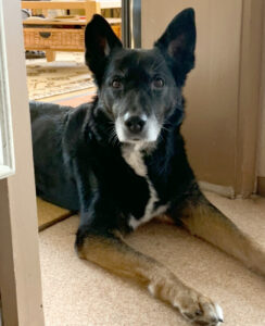 Opi Mick 20 Opi Mick 20