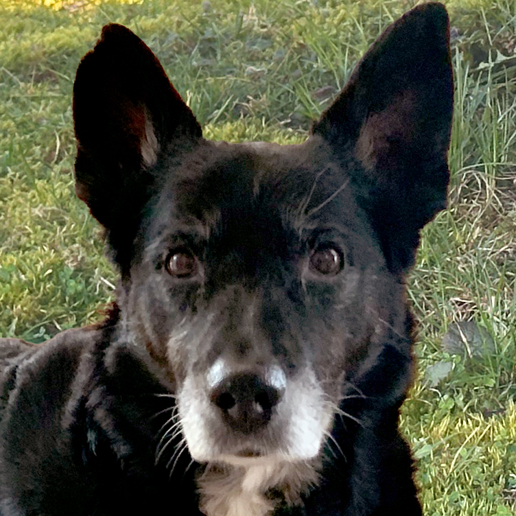 Opi Mick 20AA Opi Mick 20AA