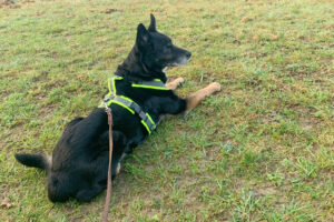 Opi Mick 21 Opi Mick 21