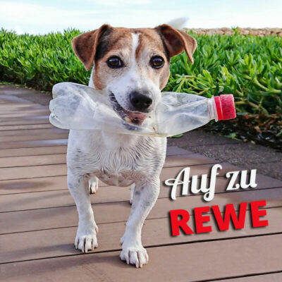 REWE Spendenaktion<br>Leergut in den Leergutautomaten