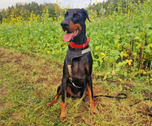 Jason 2023 10 25 Jason 2023 10 25