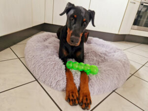 Jason 2023 10 28 Jason 2023 10 28