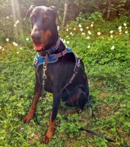 Jason 2024 05 16 Jason 2024 05 16