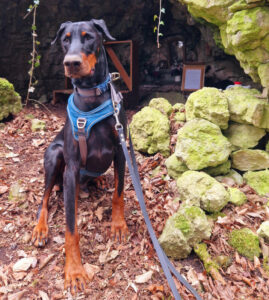 Jason 2025 Jason 2025