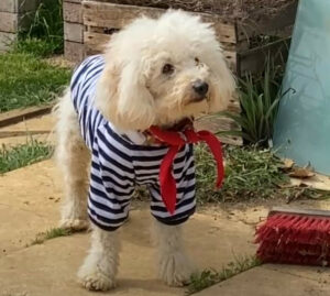 Screenshot Screenshot