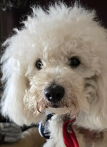 Screenshot Screenshot