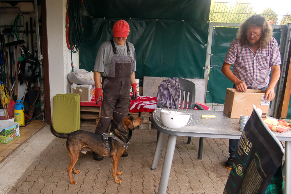 Ehem. Pflegehund Lino Zu Besuch