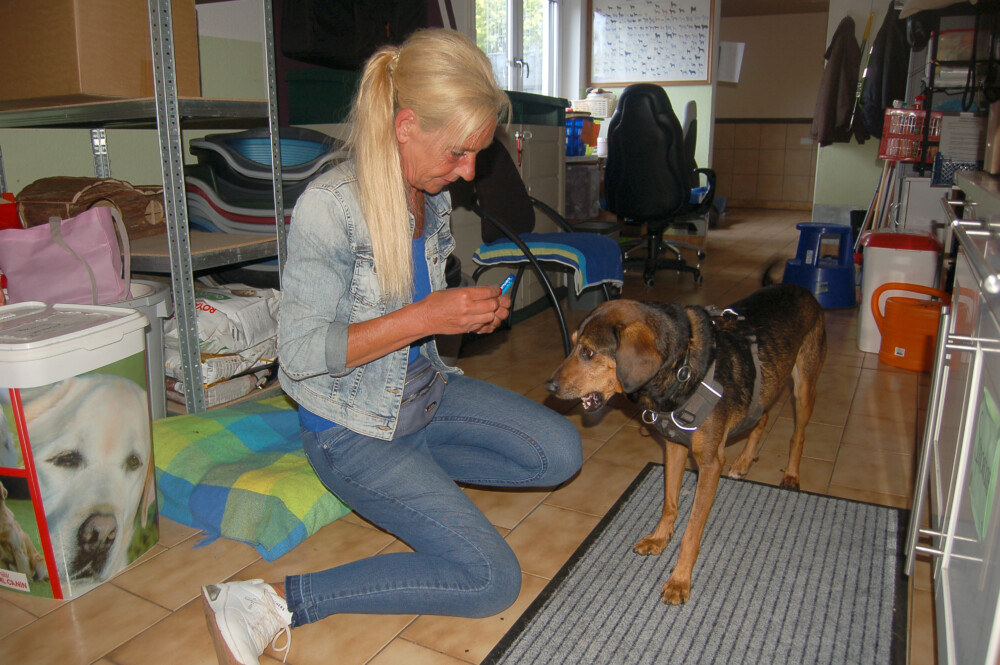 Ehem. Pflegehund Lino Zu Besuch