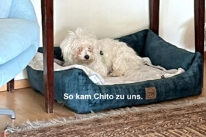 Chito 2 Mit Text