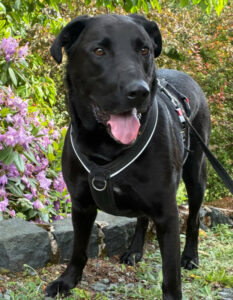 Nicki Neu 4 Nicki Neu 4
