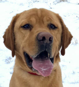 Mr. Sam Neu 2 Mr. Sam Neu 2