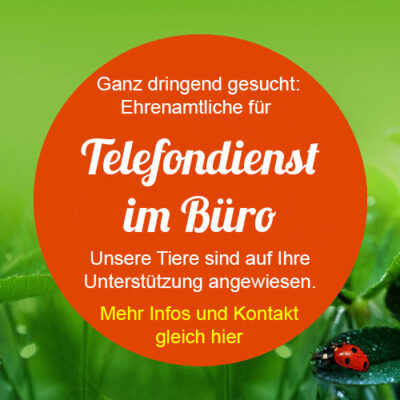 Helfer gesucht!