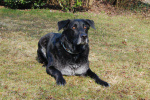 Baldur 7