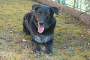 Baldur 9