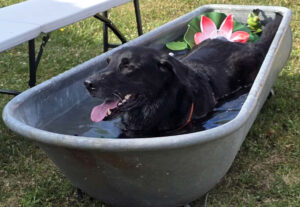 Baldur In Der Wanne