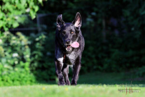 Baldur