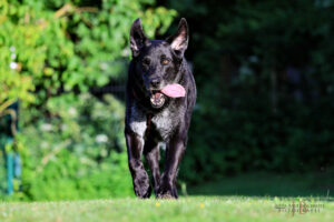 Baldur