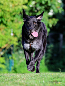 Baldur