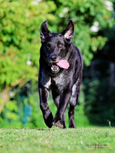 Baldur