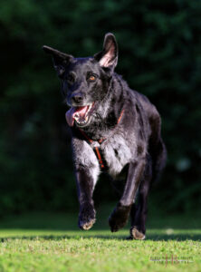 Baldur