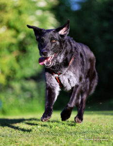 Baldur
