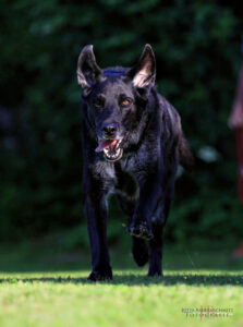 Baldur