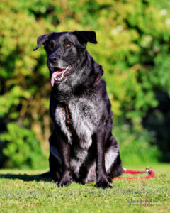 Baldur