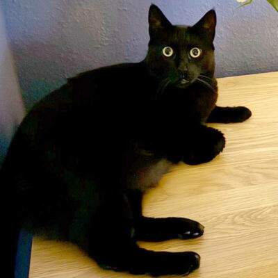Kiki