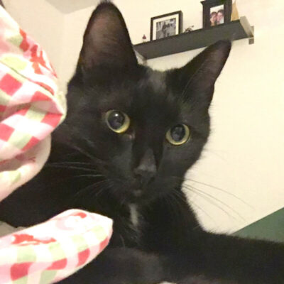 Luna